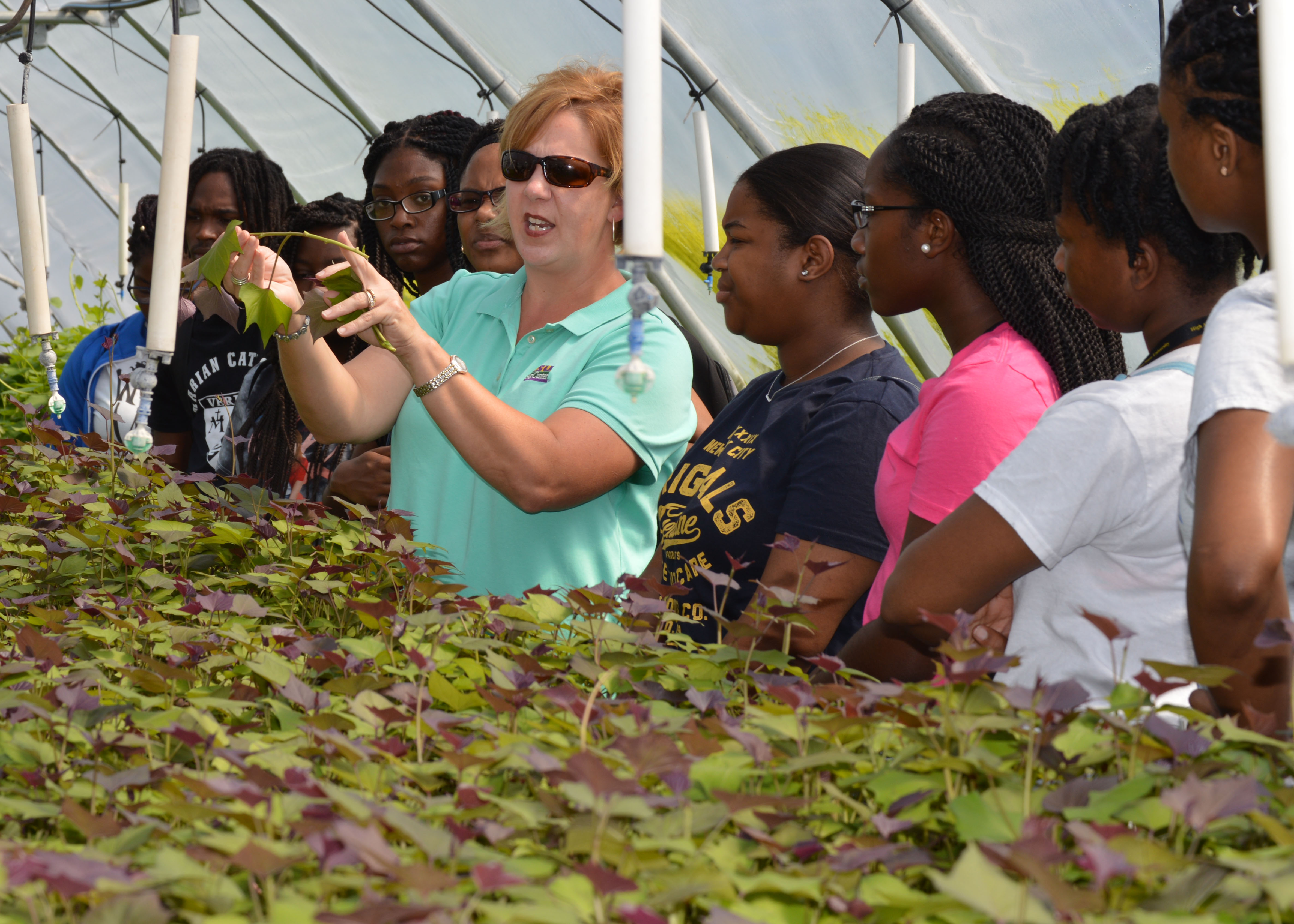Faculty Profile: Agriculture Unlocked Unknown Worlds for Tara Smith